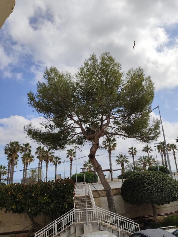 Apartamento Mare Nostrum Playa Arrabassada Tarragona Exteriör bild